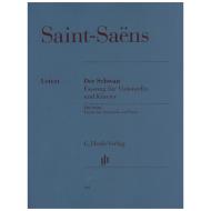 Saint-Saëns, C.: Le Cygne (Der Schwan) 