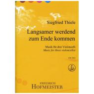 Thiele, S.: Langsamer werdend zum Ende kommen 