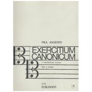 Angerer, P.: Exercitium canonicum 