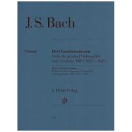 Bach, J. S.: 3 Gambensonaten BWV 1027-1029 