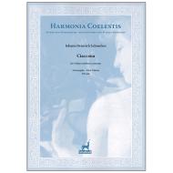 Schmelzer, J. H.: Ciaccona 