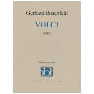 Rosenfeld, G.: Volci 