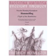 Rimski-Korsakow, N.: Hummelflug 