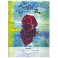 Schubert für Violine und Klavier 