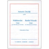 Dvořák, A.: Waldesruhe Op. 68/5 