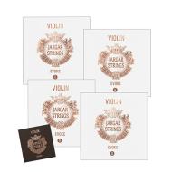 EVOKE corde per violino SET di Jargar 