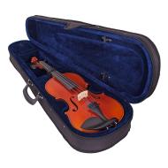 PACATO Scolar viola case 