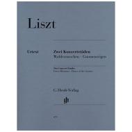 Liszt, F.: Zwei Konzertetüden 