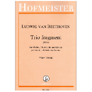 Beethoven, L.v.: Trio fragment 