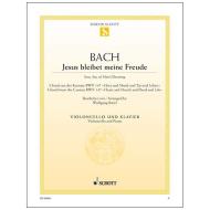 Bach, J. S.: Jesus bleibt meine Freude BWV 147 