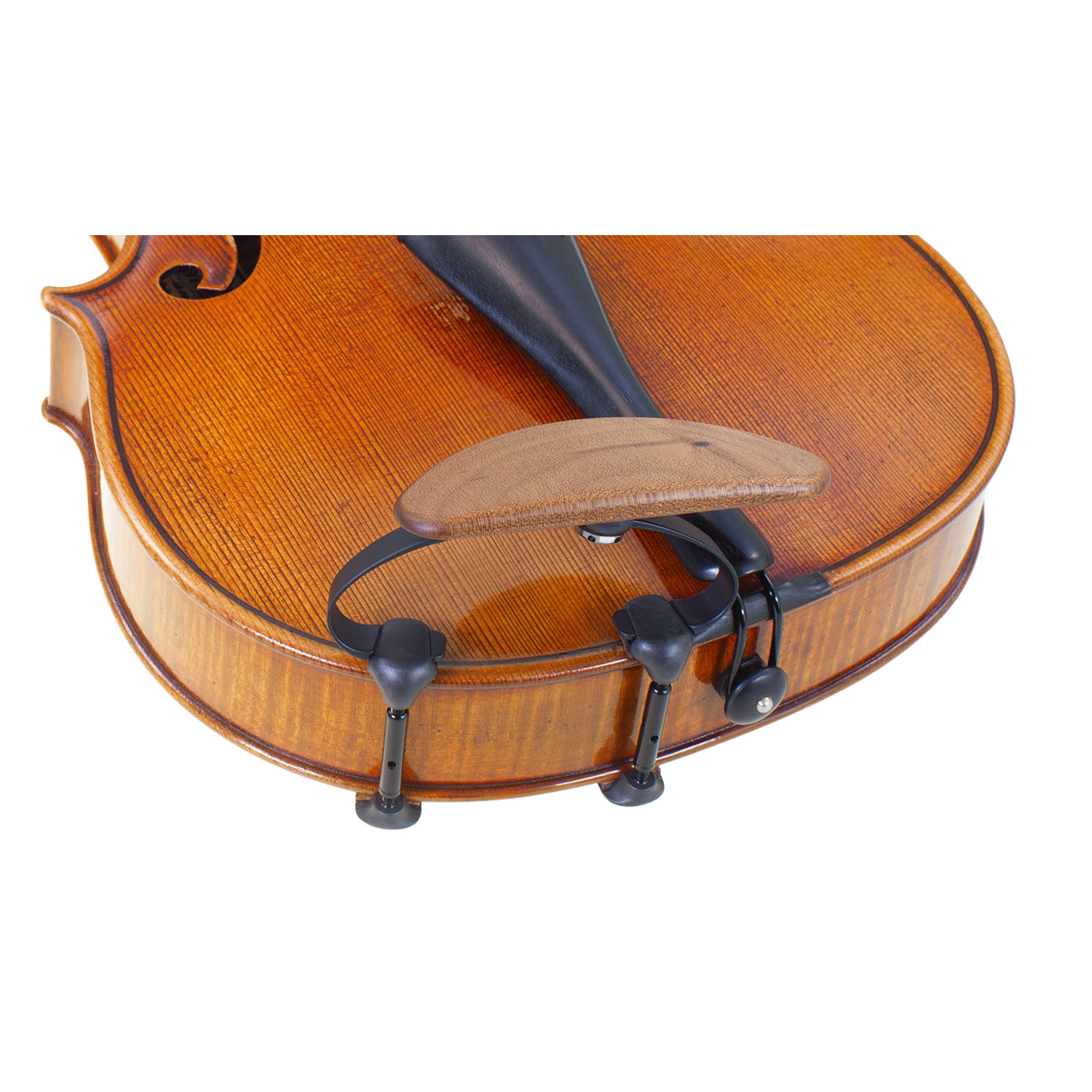 Pirastro Korfker Luna - Viola | Outra Música | Guia de Lojas de Música e Instrumentos em Portugal